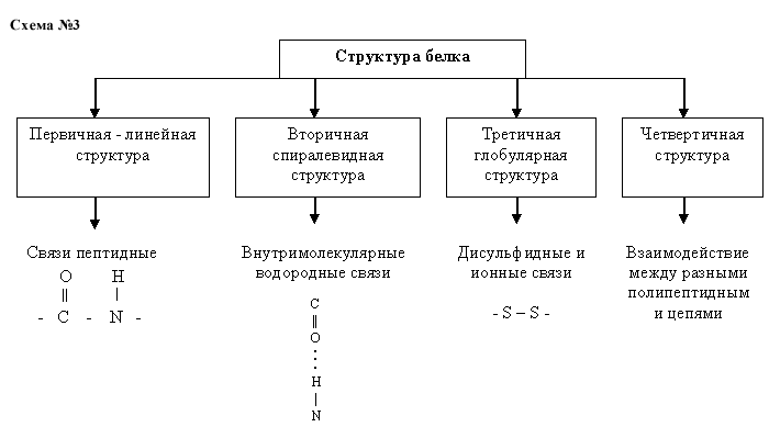 структура таблица схема таблица